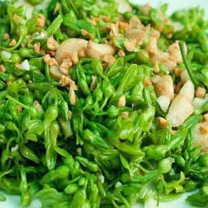Bông thiên lý xào, luộc